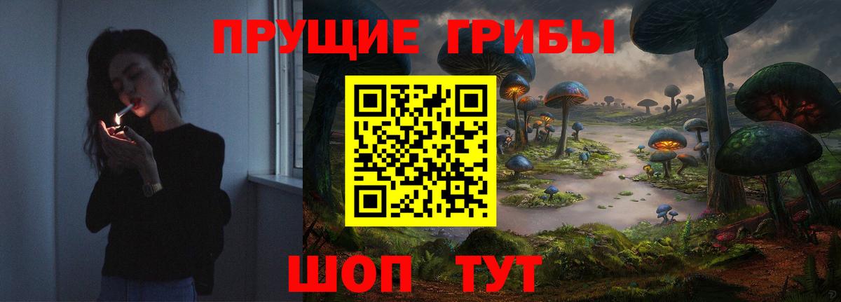 Галлюциногенные грибы прущие грибы  где купить   Вход с VPN  Братск  Галлюциногенные грибы ЛСД 
